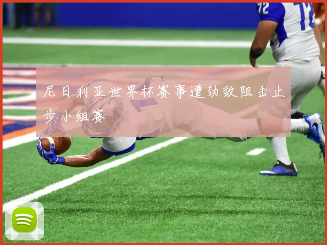 尼日利亚世界杯赛事遭劲敌阻击止步小组赛