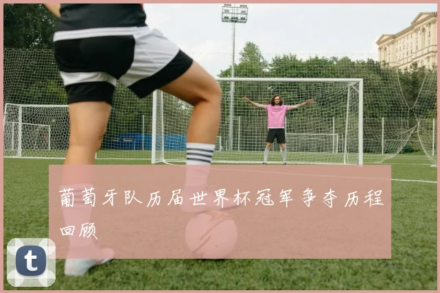葡萄牙队历届世界杯冠军争夺历程回顾