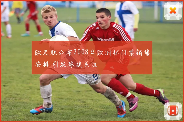 欧足联公布2008年欧洲杯门票销售安排 引发球迷关注