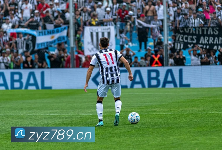 乐鱼(中国)leyu·官方网站 - 科技股份有限公司发展历程